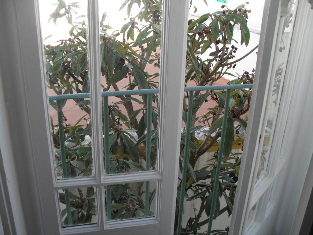 Casa Verde Ferreira Do Alentejo Værelse billede
